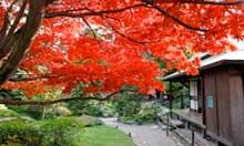 Albert Khan's Musée et Jardins